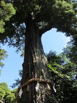 イメージ 10