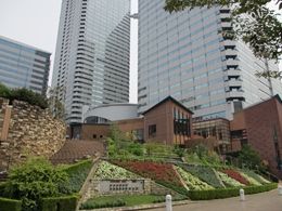 イメージ 10