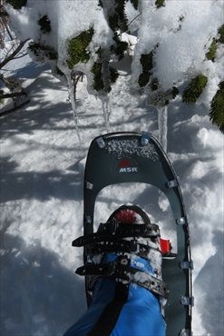 イメージ 20