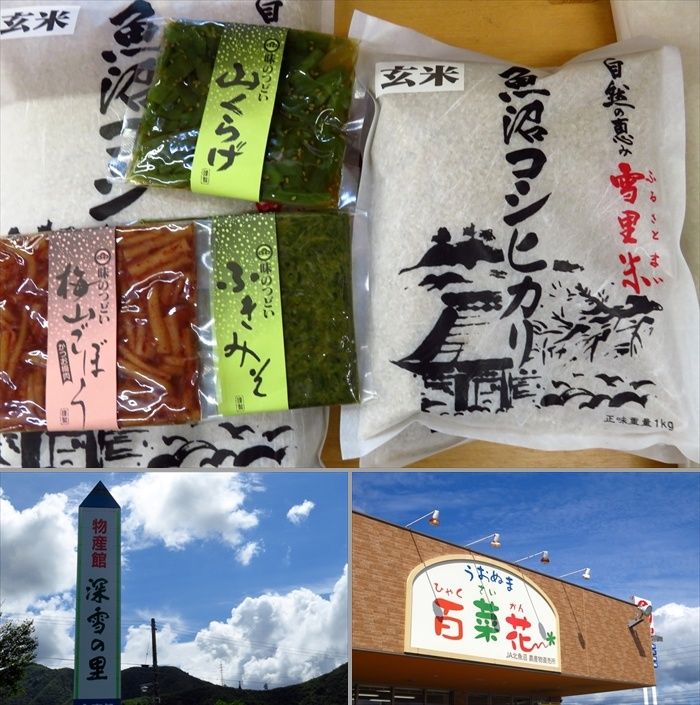 イメージ 9