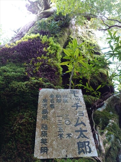 08DSC_2586_R