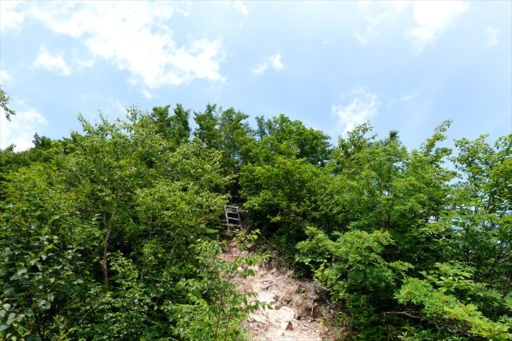 117DSC02216_R