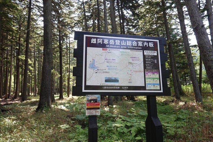 11-2DSC03687_R