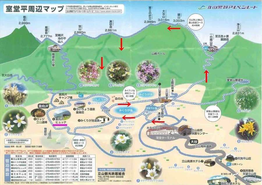 イメージ 29