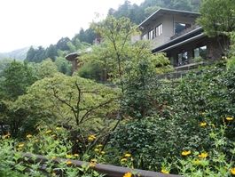 イメージ 17