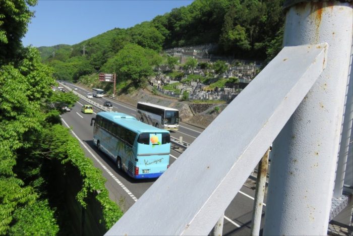 イメージ 7