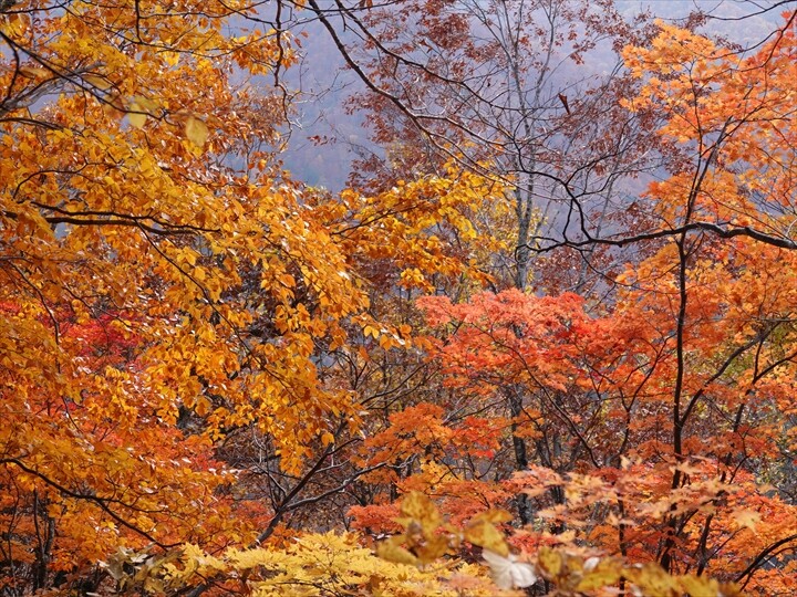 DSC09601_R