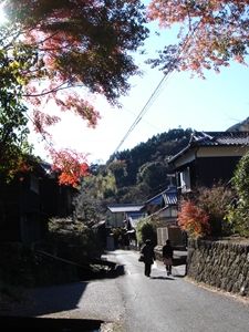 イメージ 14