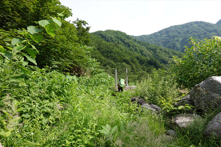 113DSC02163_R