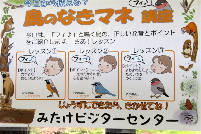 イメージ 14