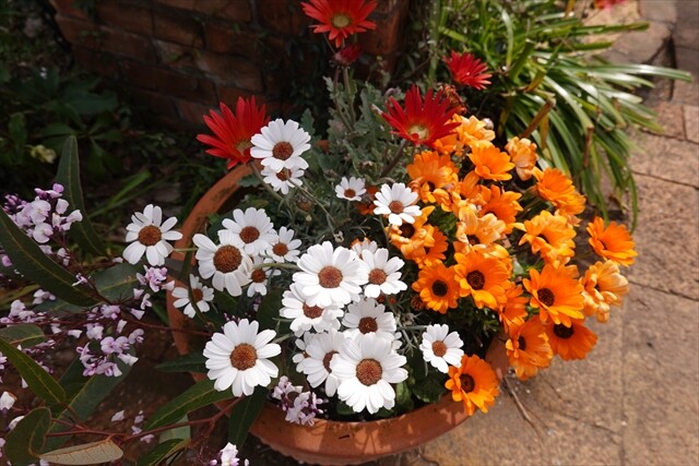 04DSC05411_R