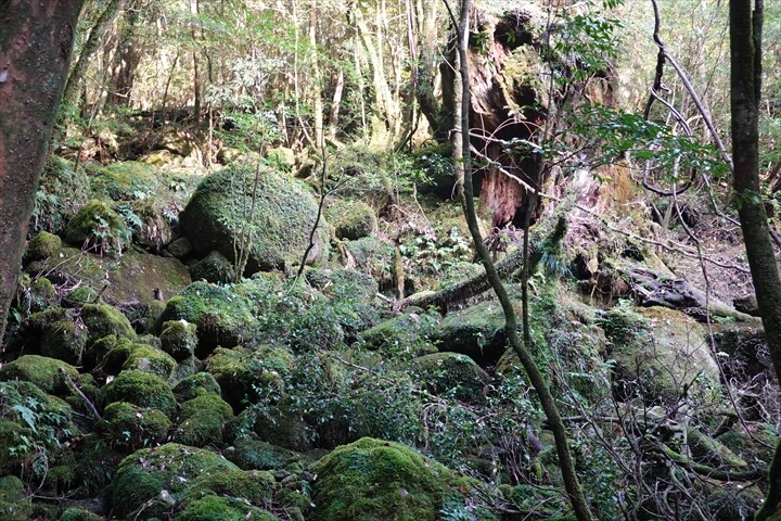 DSC00892_R