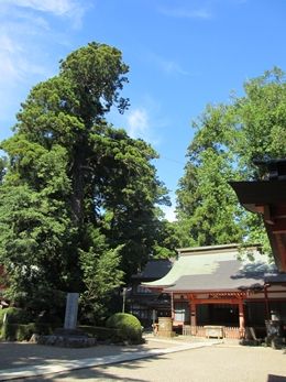 イメージ 14