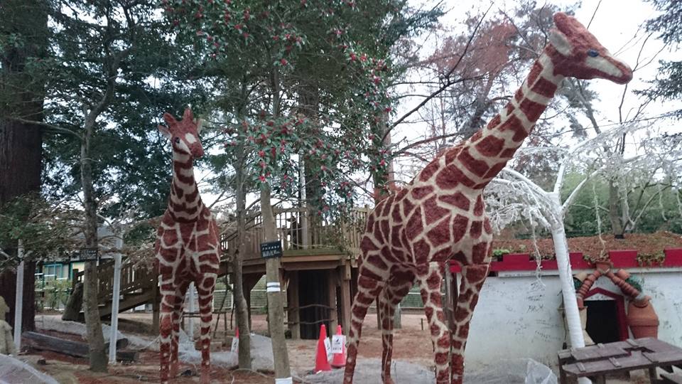 花の文化園のイルミネーションzooがすごい お出かけ前のアドバイス 奥河内イルミナージュ かわちーな かわちーの