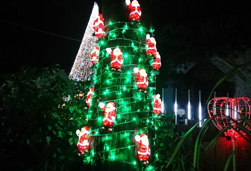 クリスマス 花の文化園のイルミネーションはサンタさんやスノーマンもいっぱい 撮影スポット紹介 かわちーな かわちーの