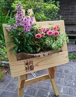 2018年5月木根館で作った花フレーム