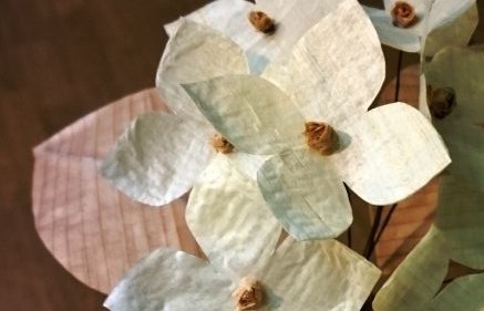 かんなのアジサイ、ガクと花のアップ