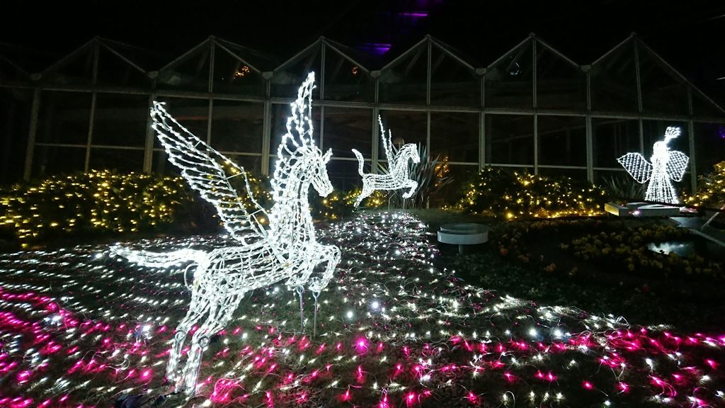 クリスマス 花の文化園のイルミネーションはサンタさんやスノーマンもいっぱい 撮影スポット紹介 かわちーな かわちーの