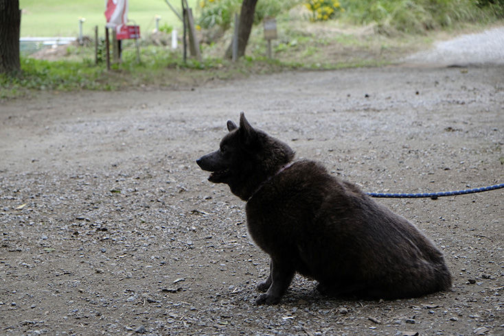 13年10月 下町写真家 今朝もはよから起きたけど 旧ヤフーブログ