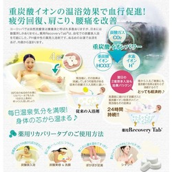 elise_recoverytab01_2