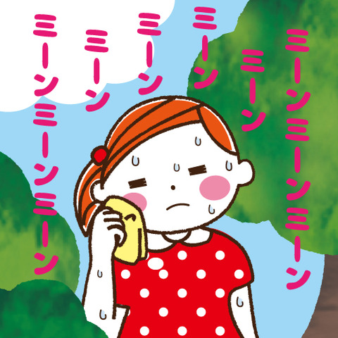 cocoro2