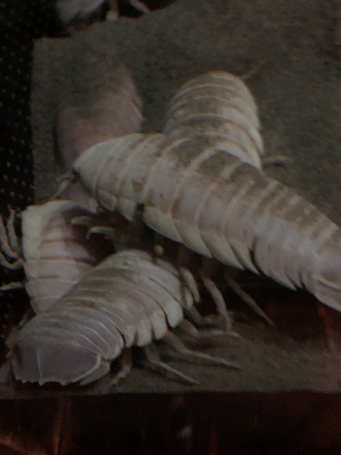 画像‐13