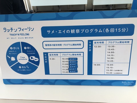 画像‐8