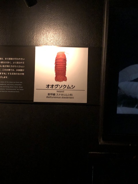 画像‐11
