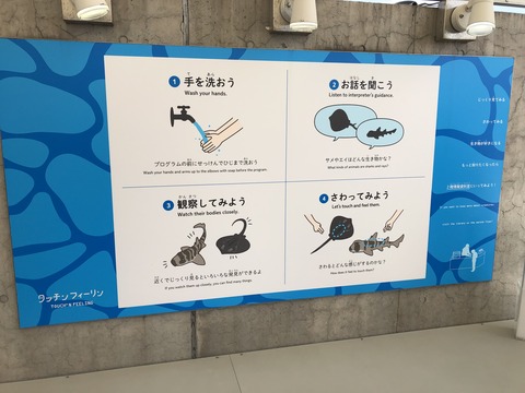 画像‐9