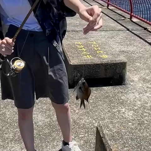魚釣り