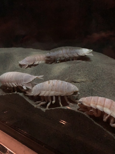 画像‐12