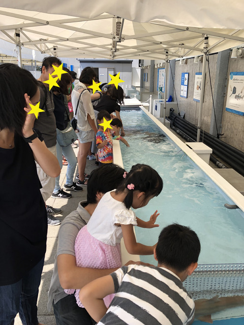 写真10