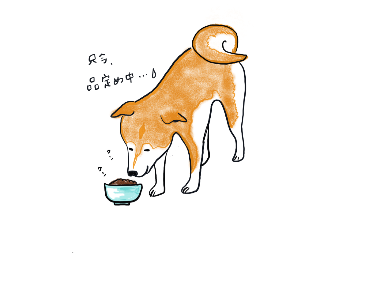 はづきの気まぐれご飯 柴犬はづきの毎日わちゃわちゃ日記 はづきの気まぐれご飯 柴犬はづきの毎日わちゃわちゃ日記