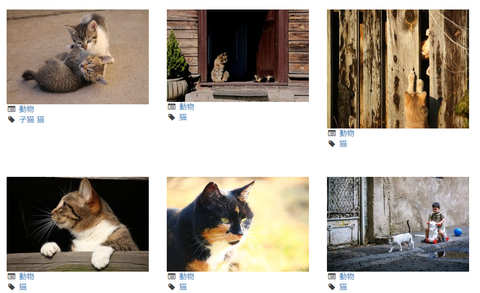 壁紙につかえる無料の猫画像がダウンロードできる壁紙サイトのまとめ かわいい猫画像 おもしろ動画ブログまとめ