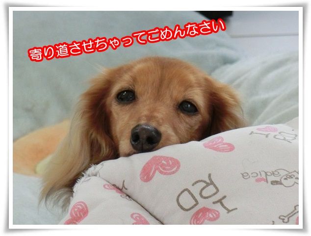 11-20150330.jpg