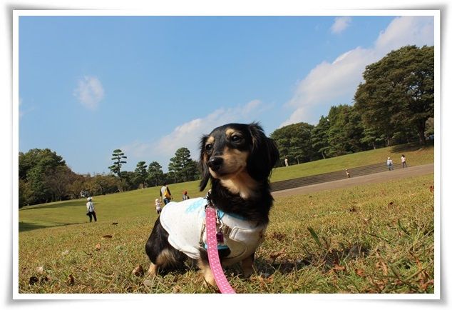 7_20151013184027ed3.jpg