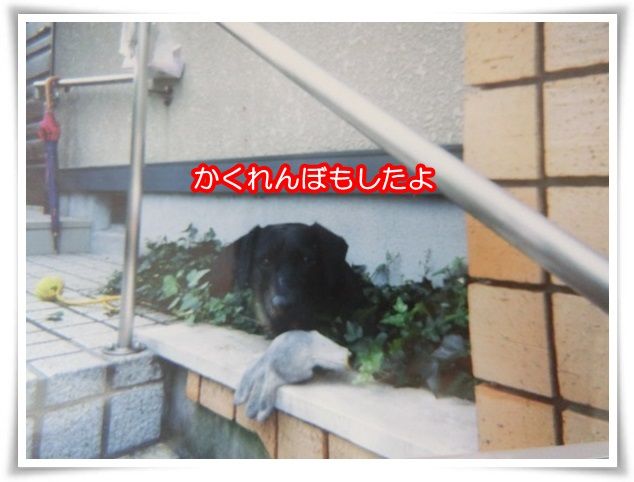 5-20150815.jpg