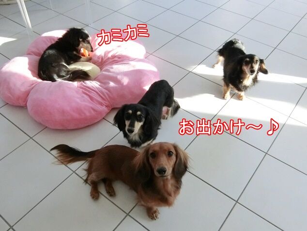 CIMG0416