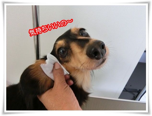 13_201509281850477be.jpg