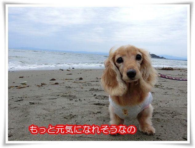 13_20150525213218ead.jpg
