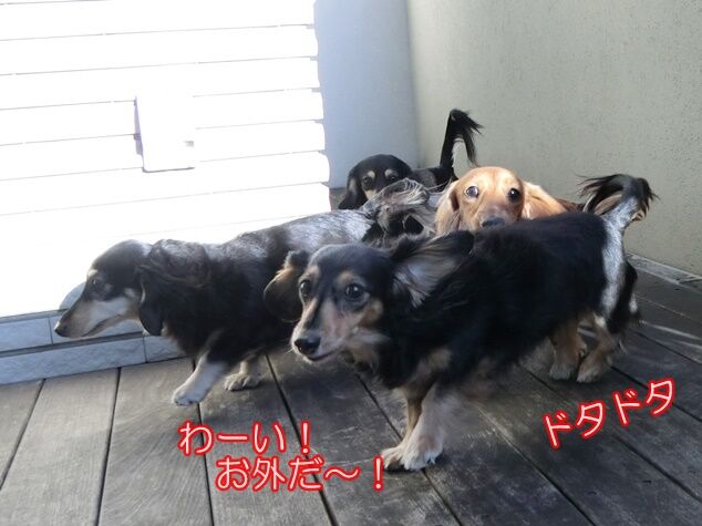 CIMG0292