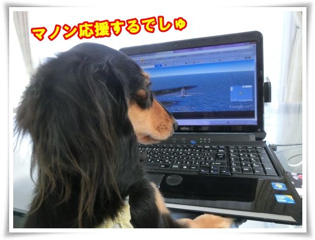 10_20130930122356072.jpg