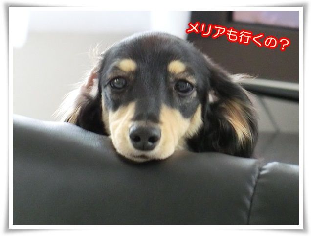 4_20140826091850bcf.jpg
