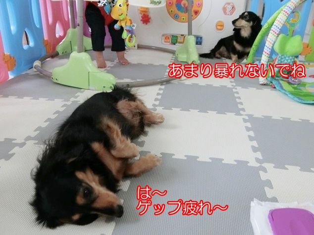 CIMG2537