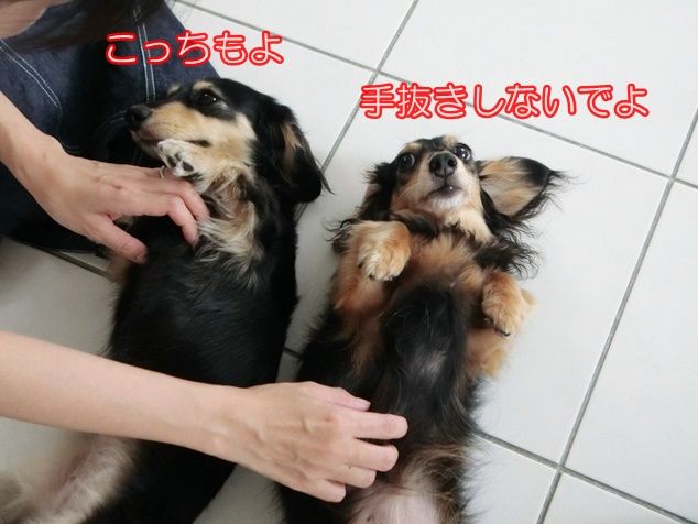 CIMG3734