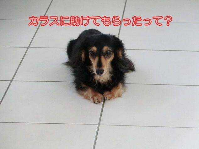 CIMG0986