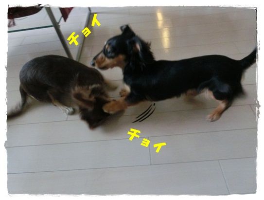 CIMG7191-20121202.jpg