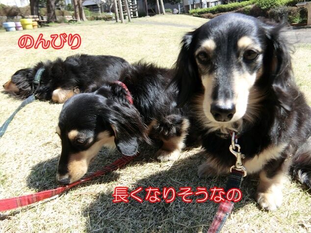 CIMG7079
