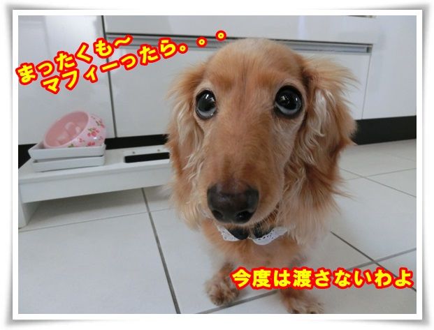 11-20131031.jpg
