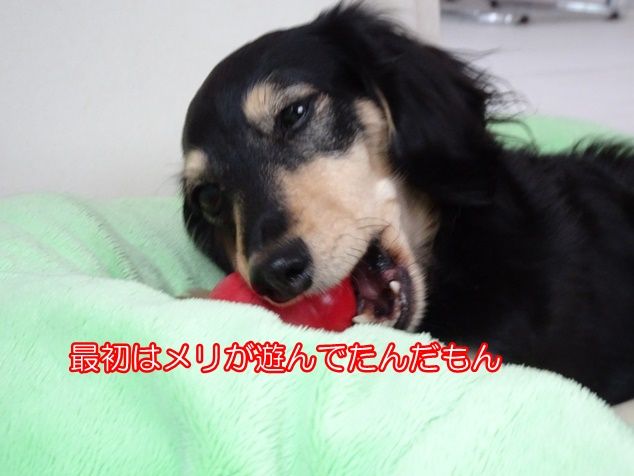 DSC03440